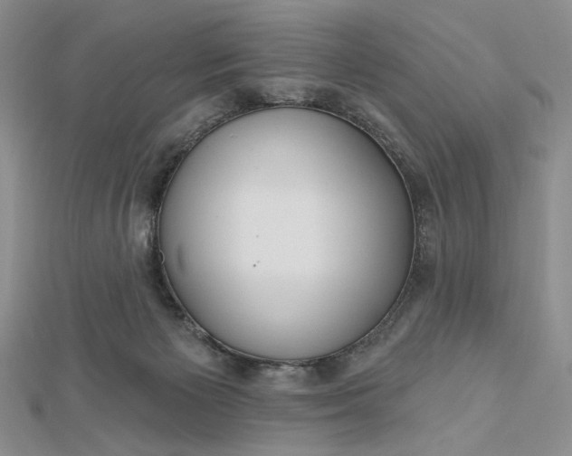 X0000112480125200908311419