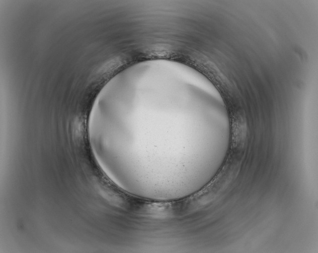 X0000112480126200908311419