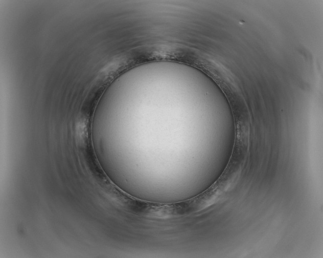 X0000112480127200908311419