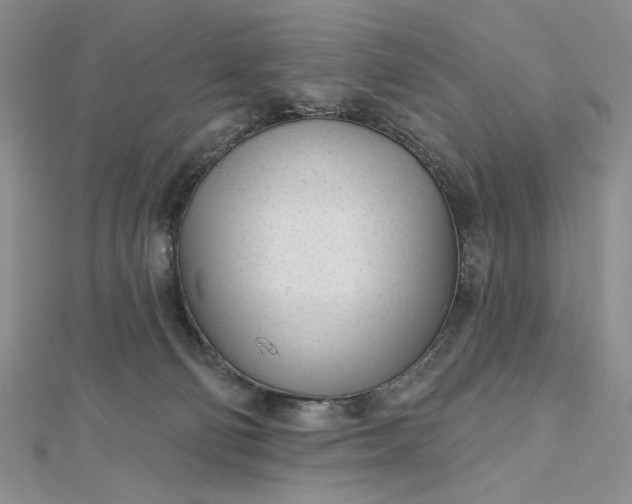 X0000112480130200908311419