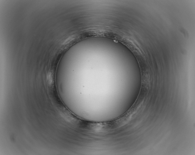 X0000112480131200908311419