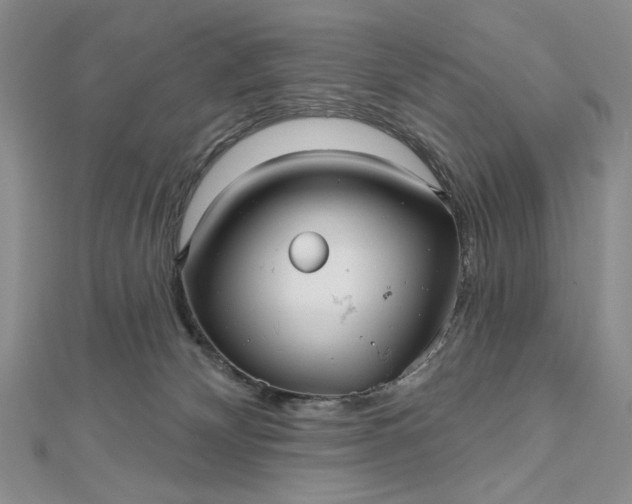 X0000112480132200908311419