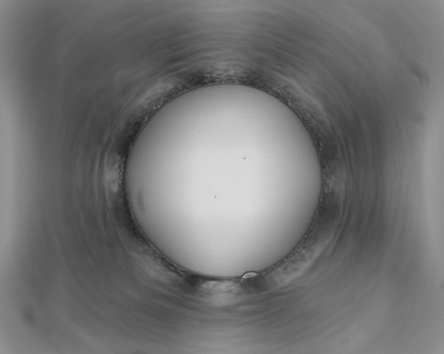 X0000112480133200908311419