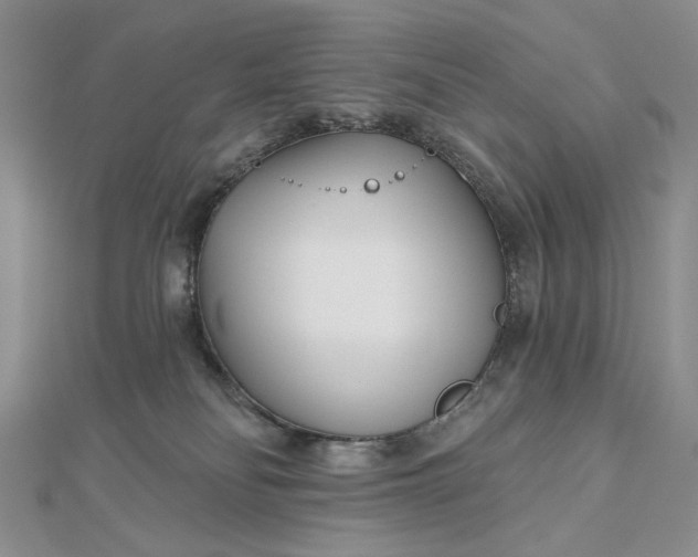 X0000112480134200908311419