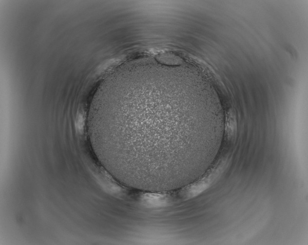 X0000112480139200908311419