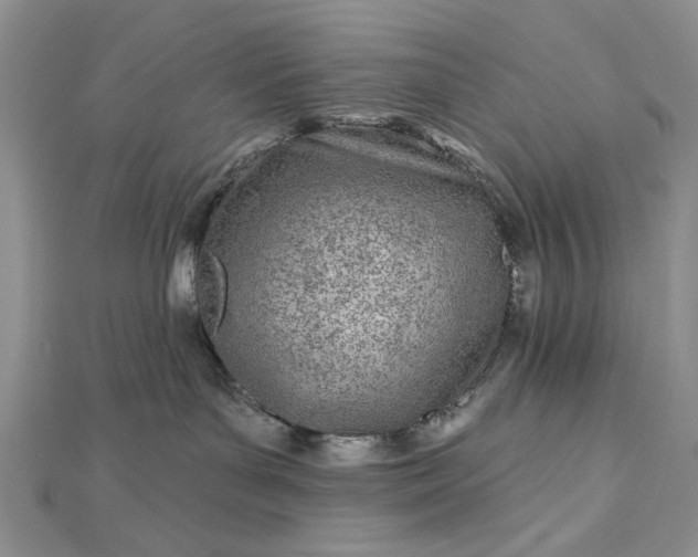 X0000112480143200908311419