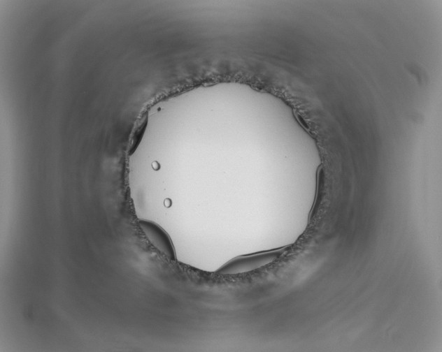 X0000112480144200908311419