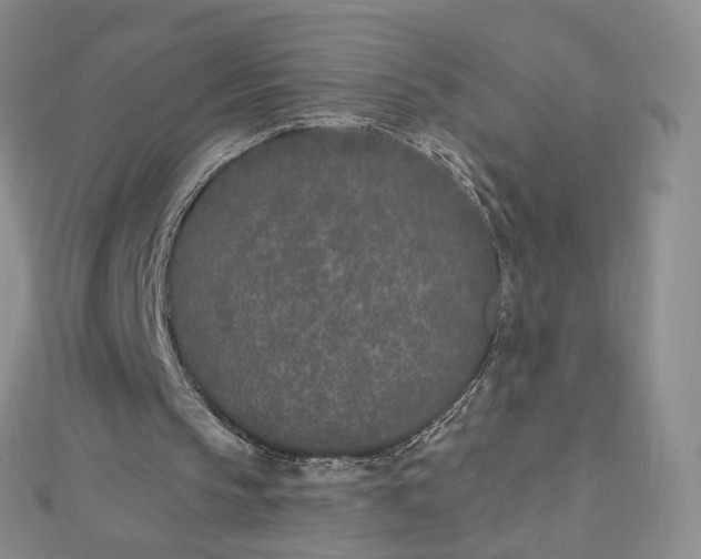 X0000112480145200908311418