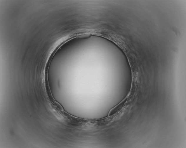 X0000112480148200908311418