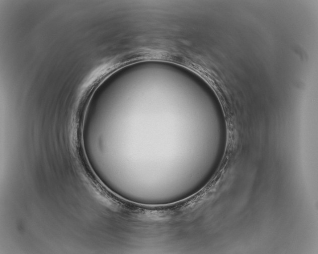 X0000112480149200908311418