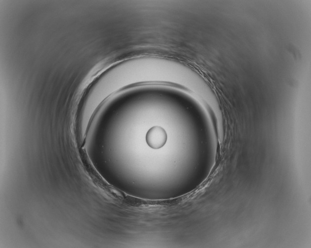 X0000112480150200908311418