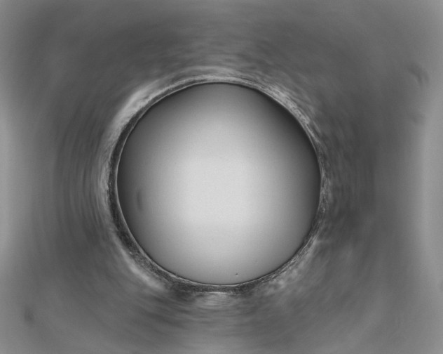 X0000112480151200908311418