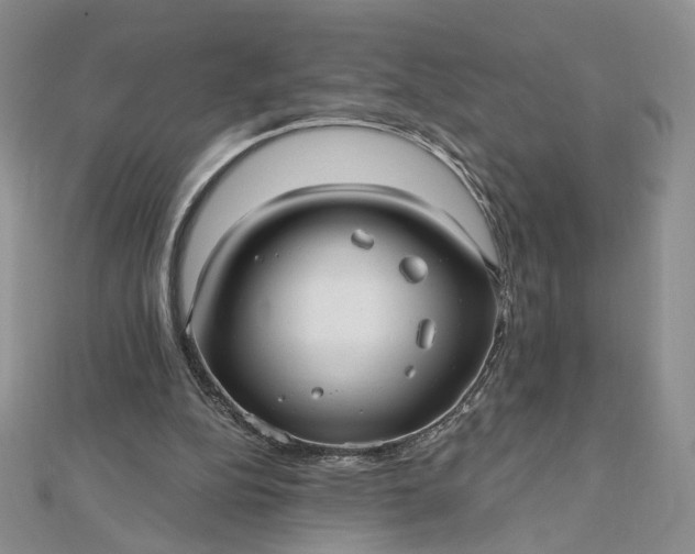 X0000112480152200908311418