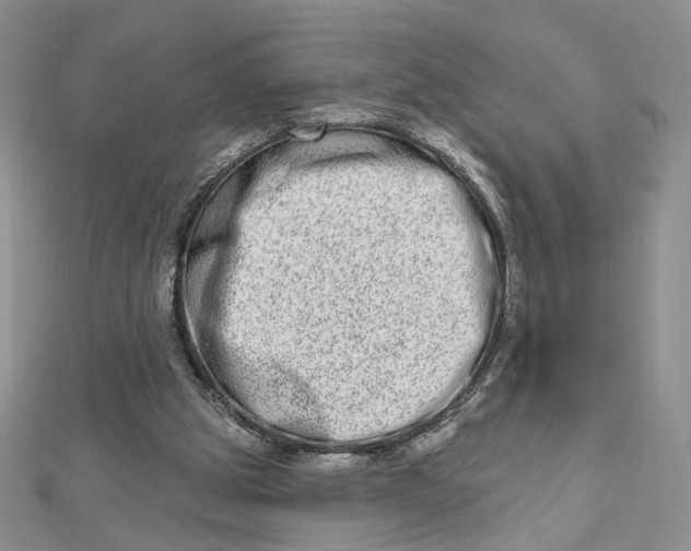 X0000112480153200908311418