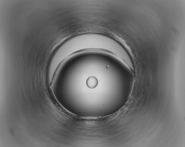 X0000112480154200908311418