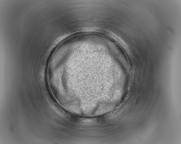 X0000112480155200908311418