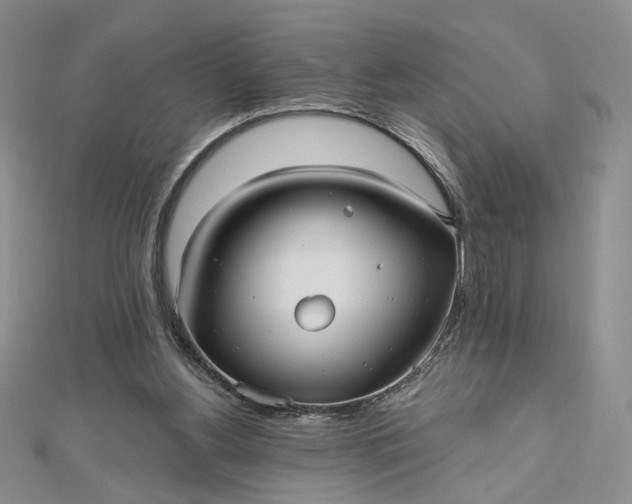 X0000112480156200908311418