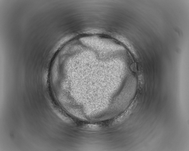 X0000112480159200908311418