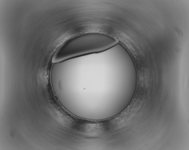 X0000112480160200908311418