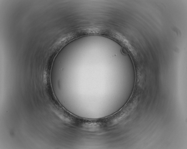 X0000112480161200908311418