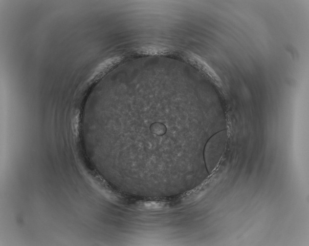 X0000112480163200908311418