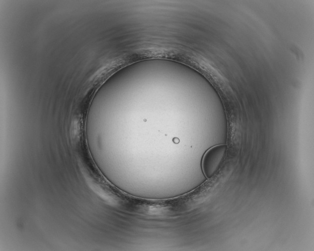 X0000112480165200908311418