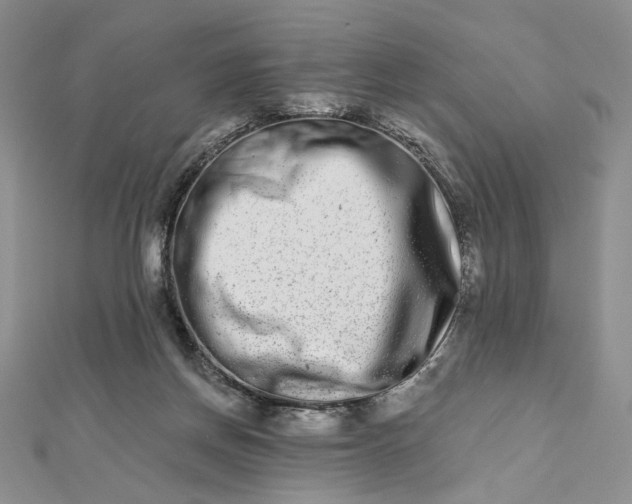 X0000112480166200908311418