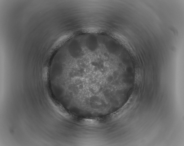 X0000112480167200908311418