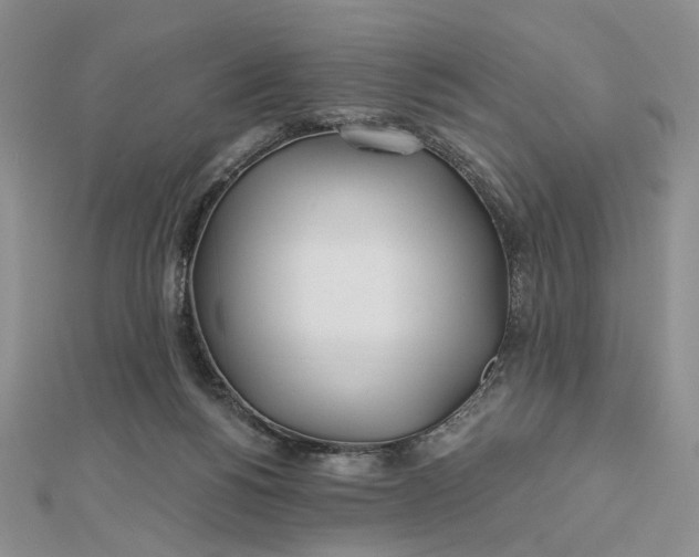 X0000112480168200908311418