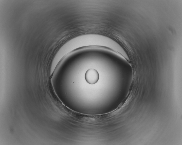 X0000112480170200908311418