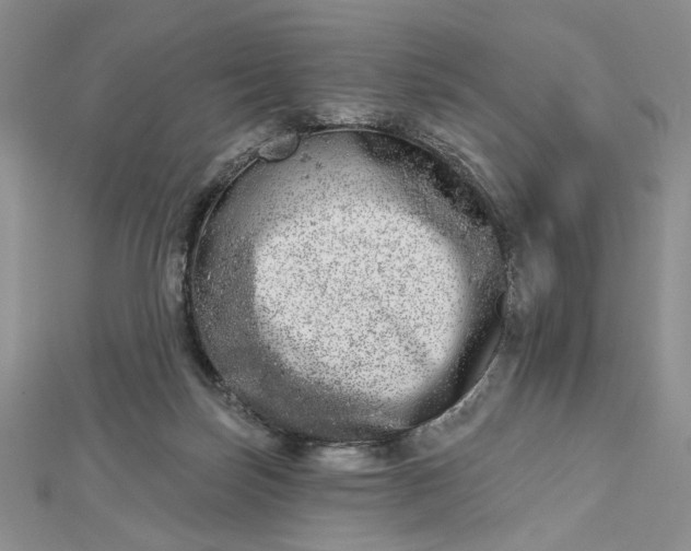 X0000112480171200908311418