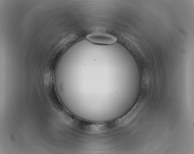 X0000112480172200908311418