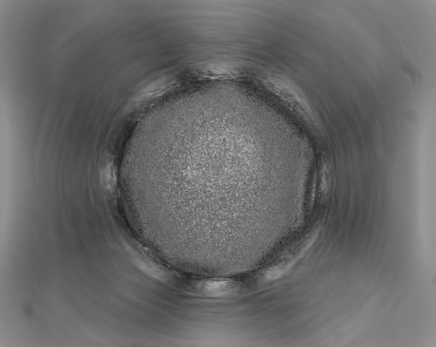 X0000112480173200908311418