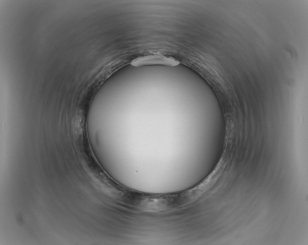 X0000112480174200908311418