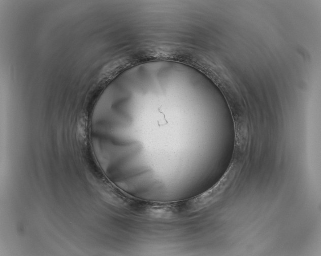 X0000112480175200908311418