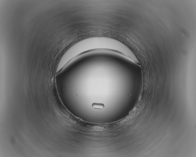 X0000112480176200908311418