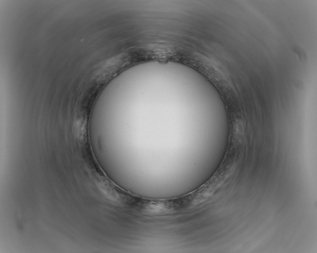 X0000112480177200908311418