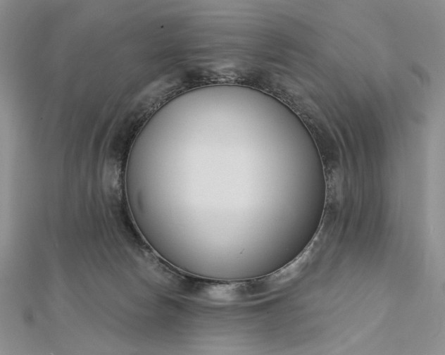 X0000112480178200908311418