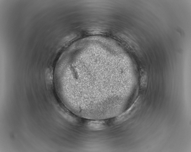 X0000112480179200908311418