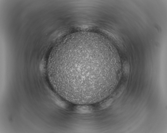 X0000112480181200908311418