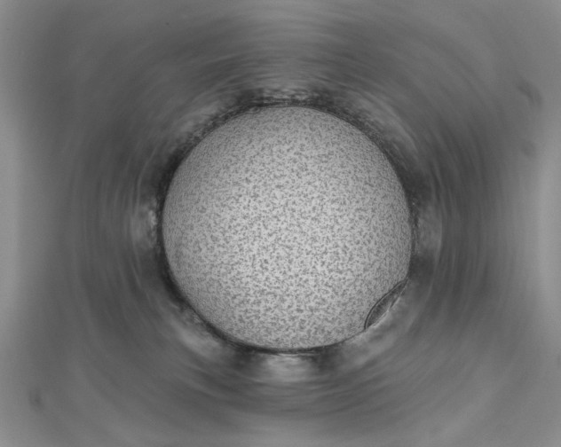 X0000112480183200908311418