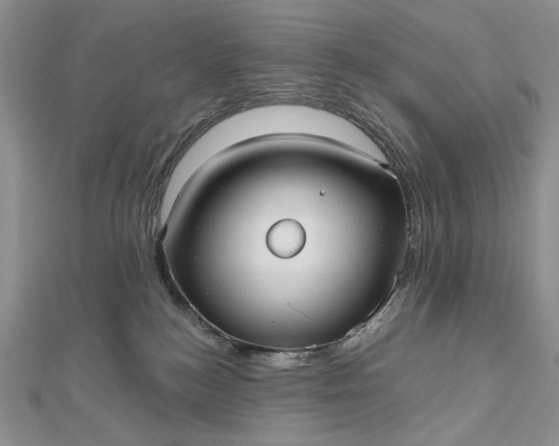 X0000112480184200908311419