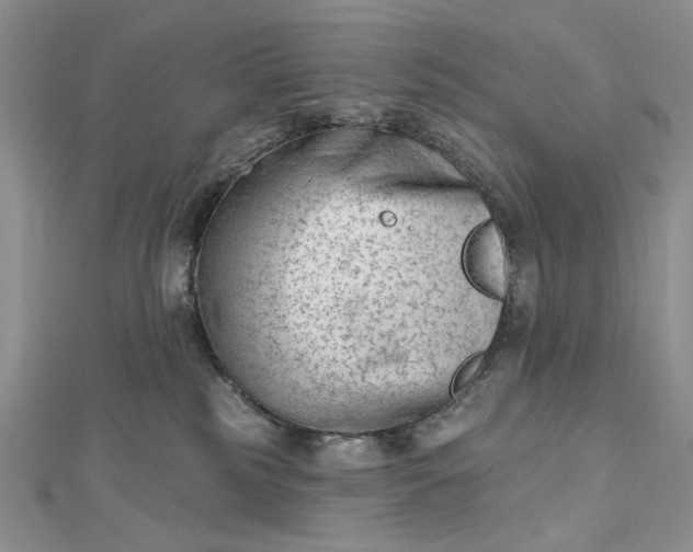 X0000112480185200908311419