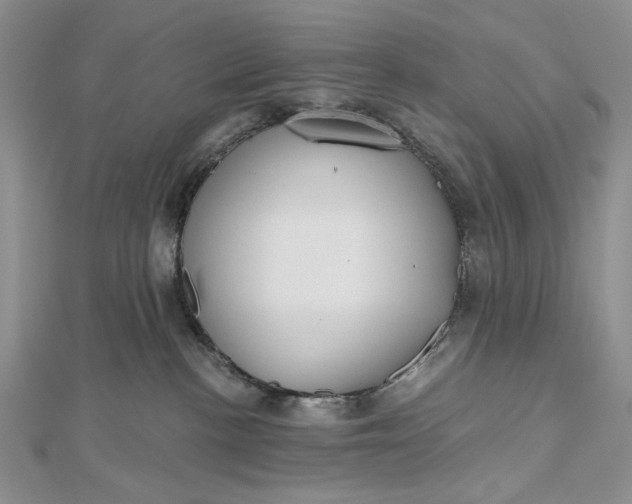 X0000112480188200908311419