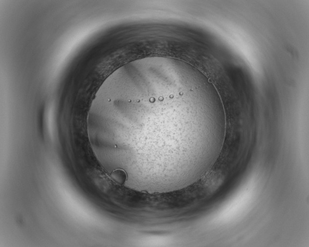 X0000112480189200908311419