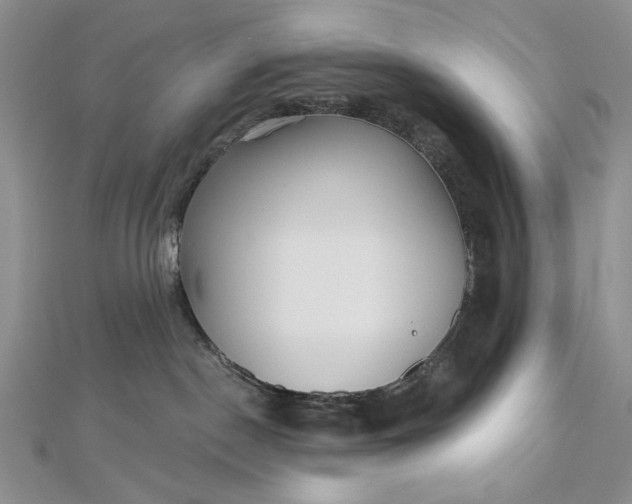 X0000112480190200908311419