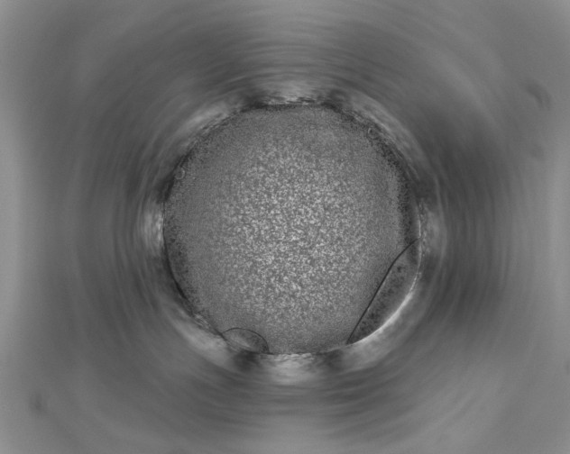 X0000112480191200908311419