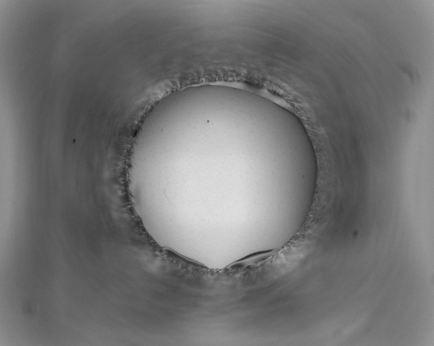 X0000112480192200908311419