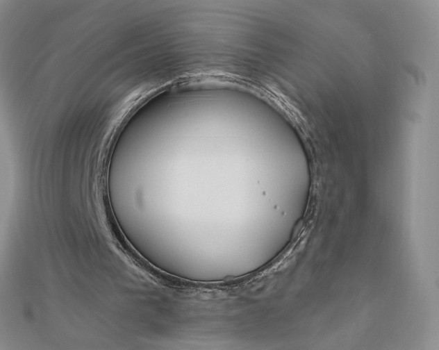 X0000112480193200908311418