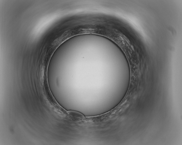 X0000112480194200908311418